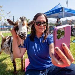 Goat Yoga during Thank Goodness for Staff Week