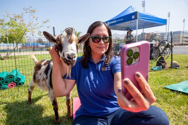 Goat Yoga during Thank Goodness for Staff Week