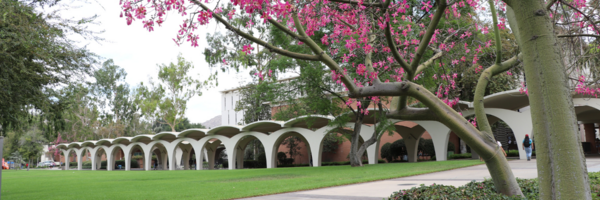 Rivera Library Arches during spring while the trees are in bloom with pink flowers