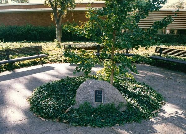 The memorial garden in 1999