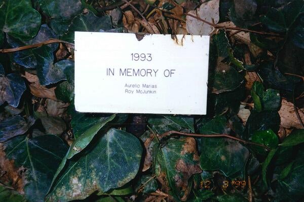 The memorial garden in 1999